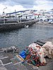 IMG_0403.jpg