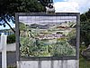 IMG_0407.jpg