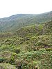 IMG_0411.jpg