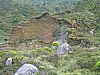 IMG_0414.jpg