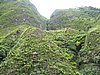 IMG_0416.jpg