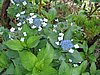 IMG_0417.jpg