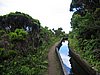 IMG_0418.jpg