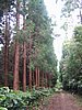 IMG_0419.jpg