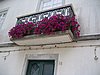 IMG_0422.jpg