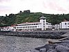 IMG_0430.jpg