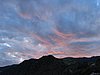 IMG_0431.jpg