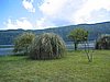 IMG_0435.jpg