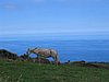 IMG_0440.jpg