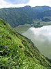IMG_0441.jpg