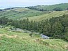 IMG_0443.jpg