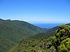 IMG_0452.jpg
