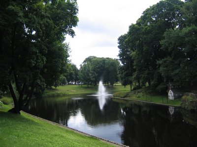 IMG_0316.jpg