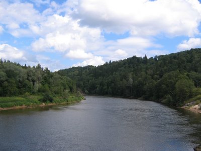 IMG_0328.jpg