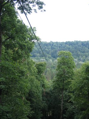 IMG_0332.jpg