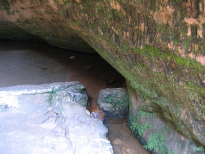 IMG_0336.jpg