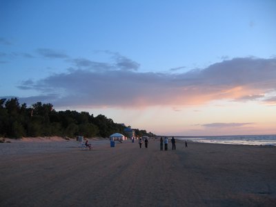IMG_0343.jpg