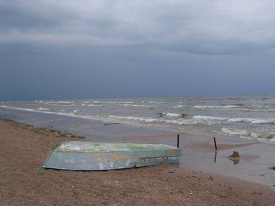 IMG_0346.jpg
