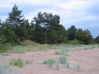 IMG_0347.jpg