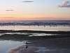 IMG_0342.jpg