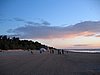 IMG_0343.jpg