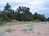 IMG_0347.jpg