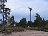 IMG_0350.jpg
