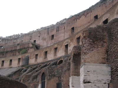 IMG_0247.jpg