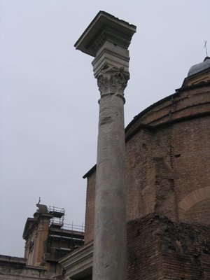 IMG_0253.jpg