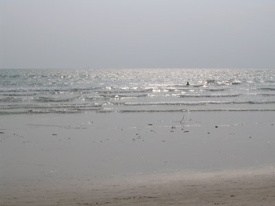 IMG_0059.jpg