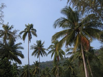 IMG_0060.jpg