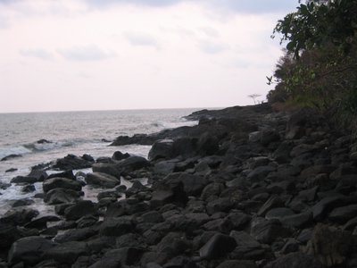 IMG_0061.jpg