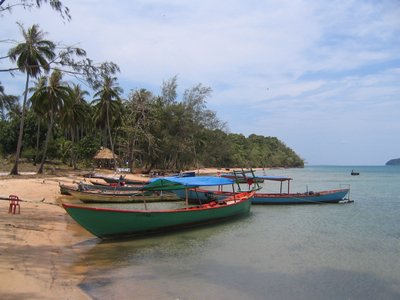 IMG_0081.jpg