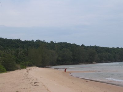 IMG_0084.jpg