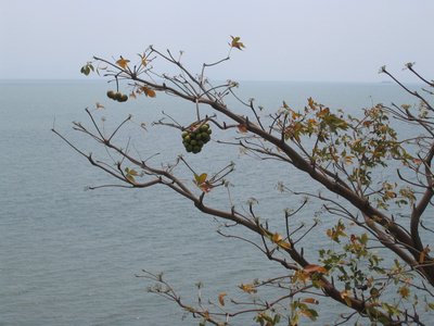 IMG_0089.jpg