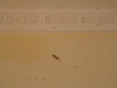 IMG_0094.jpg
