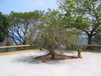IMG_0097.jpg