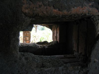 IMG_0118.jpg