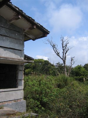 IMG_0120.jpg