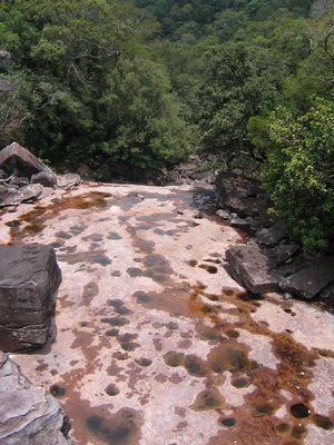 IMG_0123.jpg