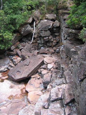 IMG_0125.jpg