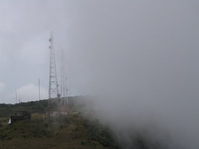 IMG_0136.jpg