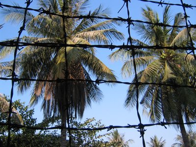 IMG_0159.jpg