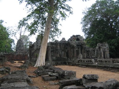 IMG_0181.jpg