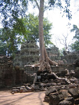 IMG_0191.jpg