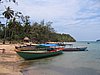 IMG_0081.jpg