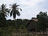 IMG_0082.jpg