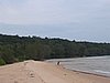 IMG_0084.jpg
