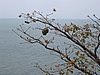 IMG_0089.jpg