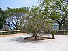 IMG_0097.jpg